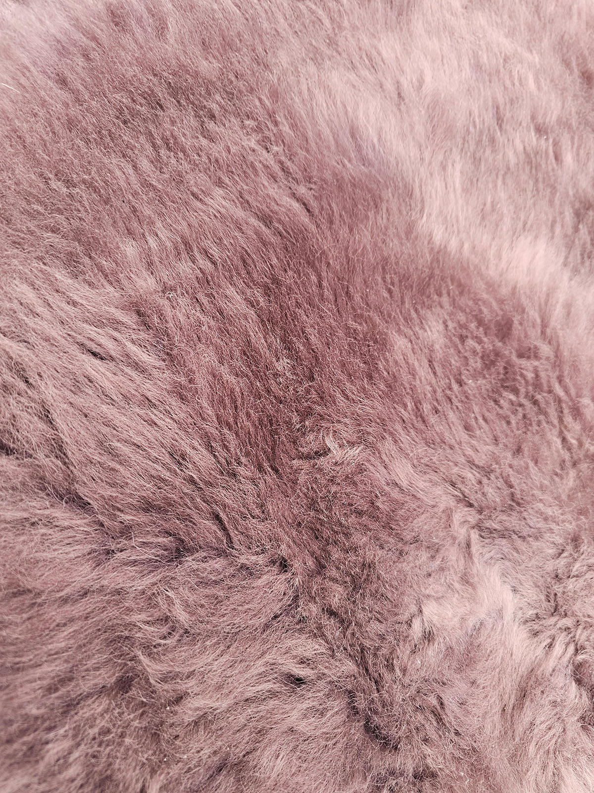 SCHAFFELL Natur Mauve Grau Lila Weich & Dicht ca. 130 cm - Lila/Mauve, Fell (70/130cm) - Provellus