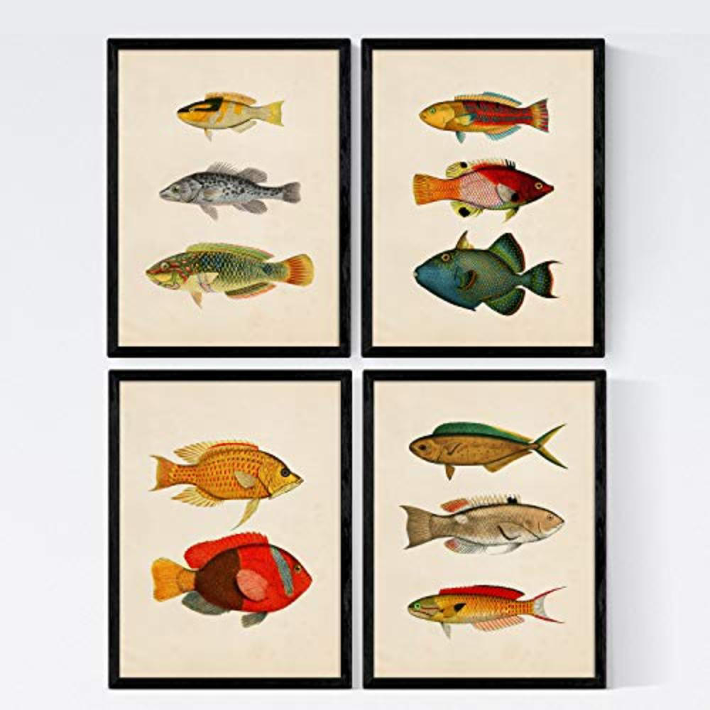 POSTER Set mit 4 Savu 11 verschiedenen Fischen A3 Rahmenlos - Klar, Papier (29.7/3cm) - Nacnic