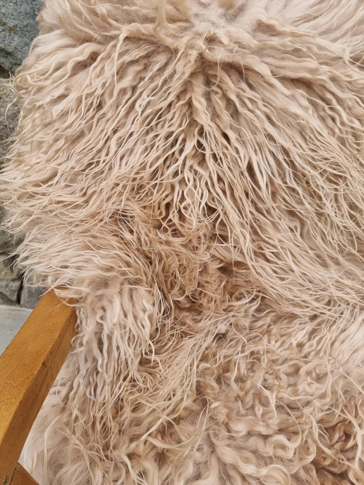 LAMMFELL Island Langhaar natur lockig weich Premium Cappuccino ca. 115 cm - Cappuccino, Fell (65/115cm) - Provellus