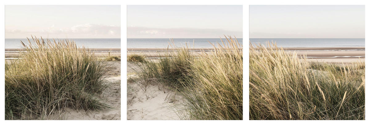 BILDER-SET aus Glas je 50x50 cm Strand beige - Beige, Glas (150/50cm) - artissimo