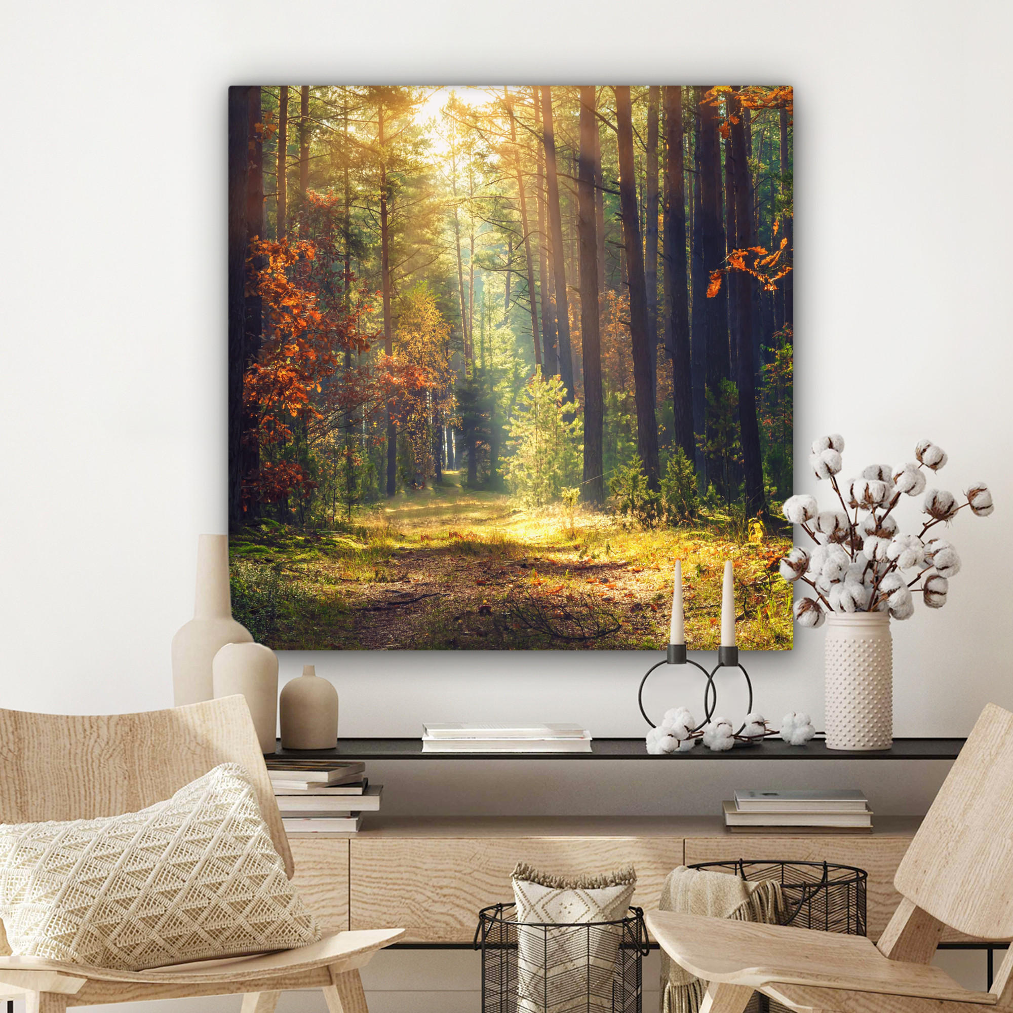 LEINWANDBILD Wald - Herbst - Bäume 90x90 cm - Dunkelgrün, Textil (90/90cm) - MuchoWow