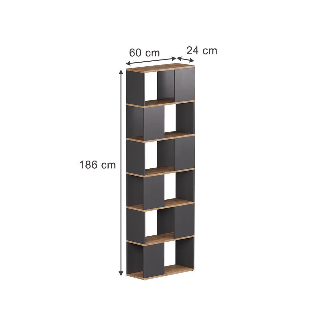 RAUMTEILER Eneos Anthrazit/Goldkraft Eiche 60 x 186 cm - Honigeiche/Anthrazit, Holzwerkstoff (60/186/24cm) - Vicco