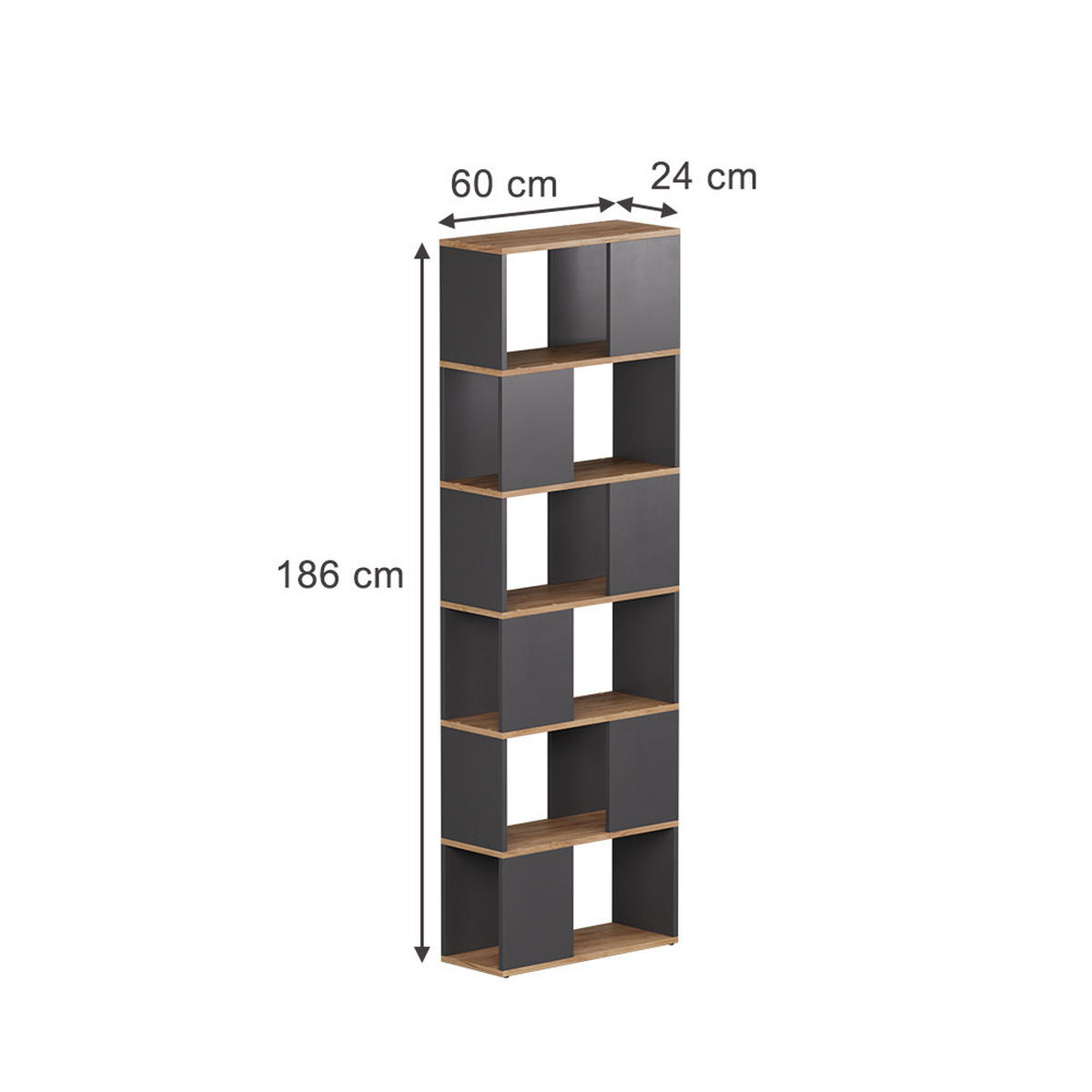 RAUMTEILER Eneos Anthrazit/Goldkraft Eiche 60 x 186 cm - Anthrazit/Eiche Wotan, Holzwerkstoff (60/186/24cm) - Vicco