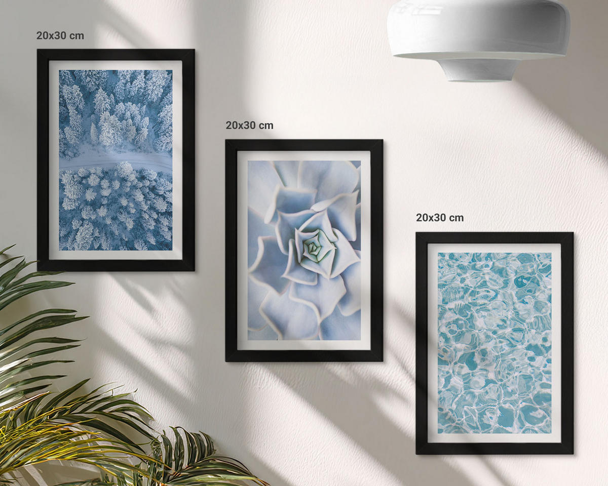 BILDER SET 3er Set - 20x30 cm Schwarzer Rahmen - Winterwald blaue Blume Wasser - Schwarz, Kunststoff (20/30cm) - TULUP