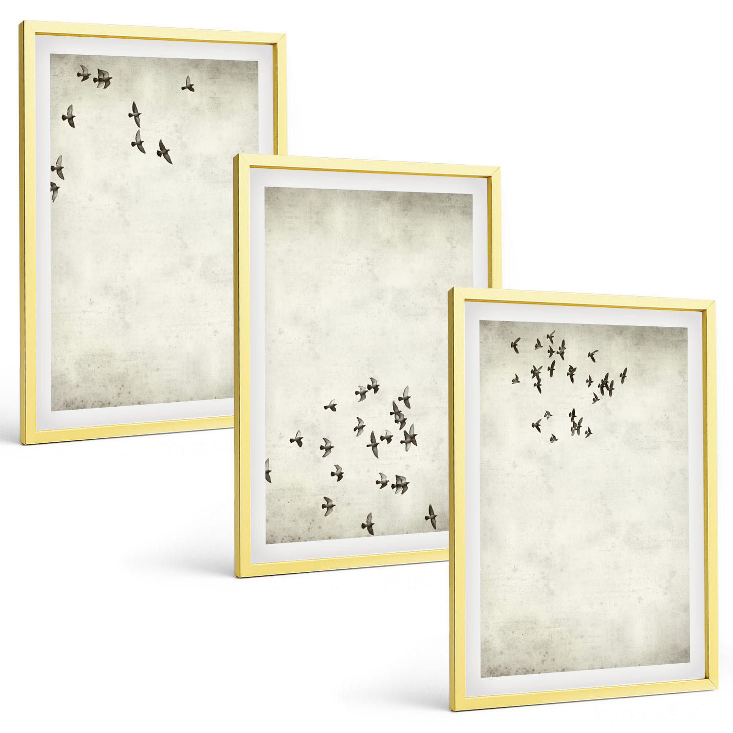 BILDER SET 3er Set - 40x60 cm Goldrahmen - Minimalistische Vogelmalerei - Goldfarben, Kunststoff (40/60cm) - TULUP