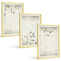 BILDER SET 3er Set - 40x60 cm Goldrahmen - Minimalistische Vogelmalerei - Goldfarben, Kunststoff (40/60cm) - TULUP