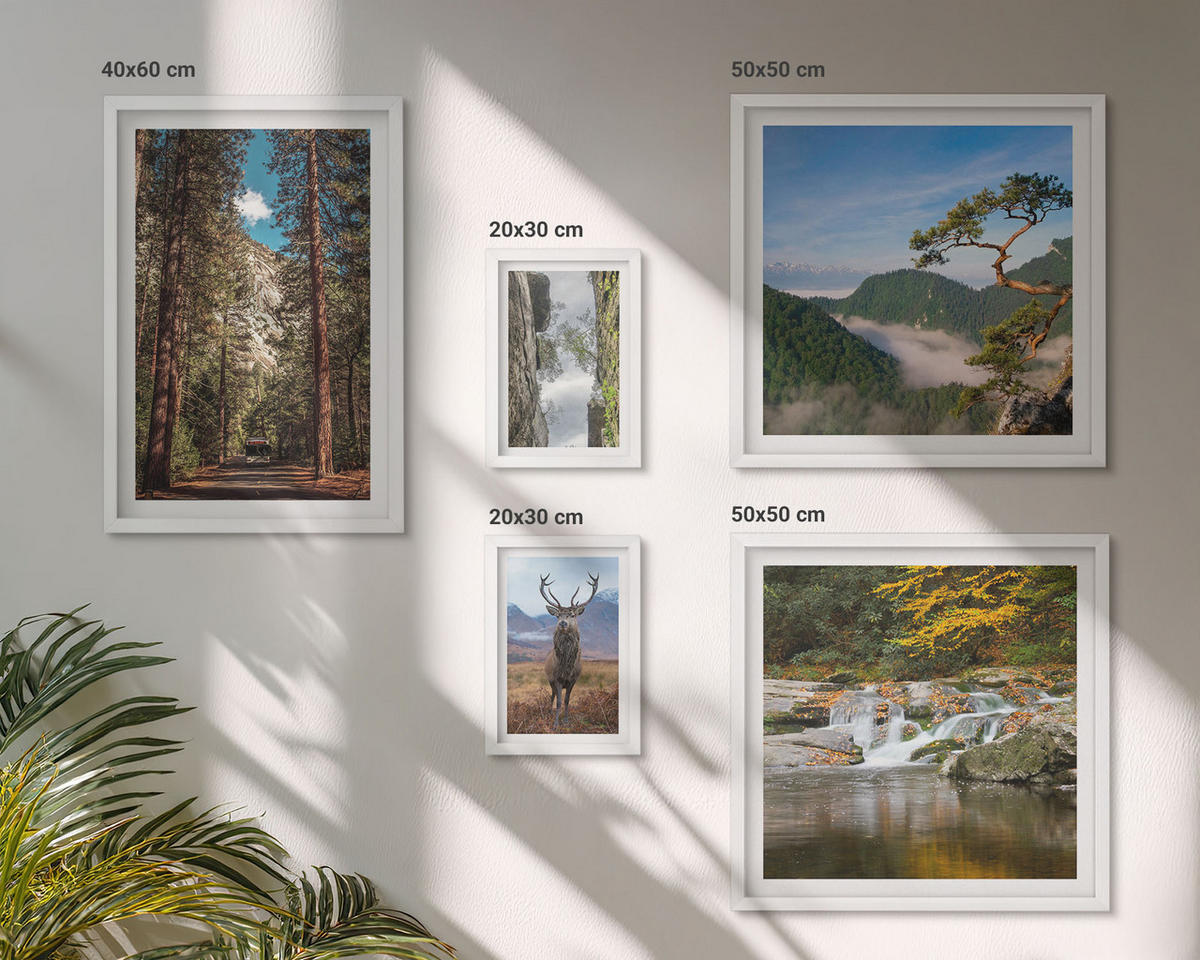 WANDBILDER 5er-Set - 50x50 cm & 20x30 cm & 40x60 cm Weißer Rahmen - Wasserfall Wald Berge Hirsch Natur - Weiß, Kunststoff (40/60cm) - ArtPrintCave