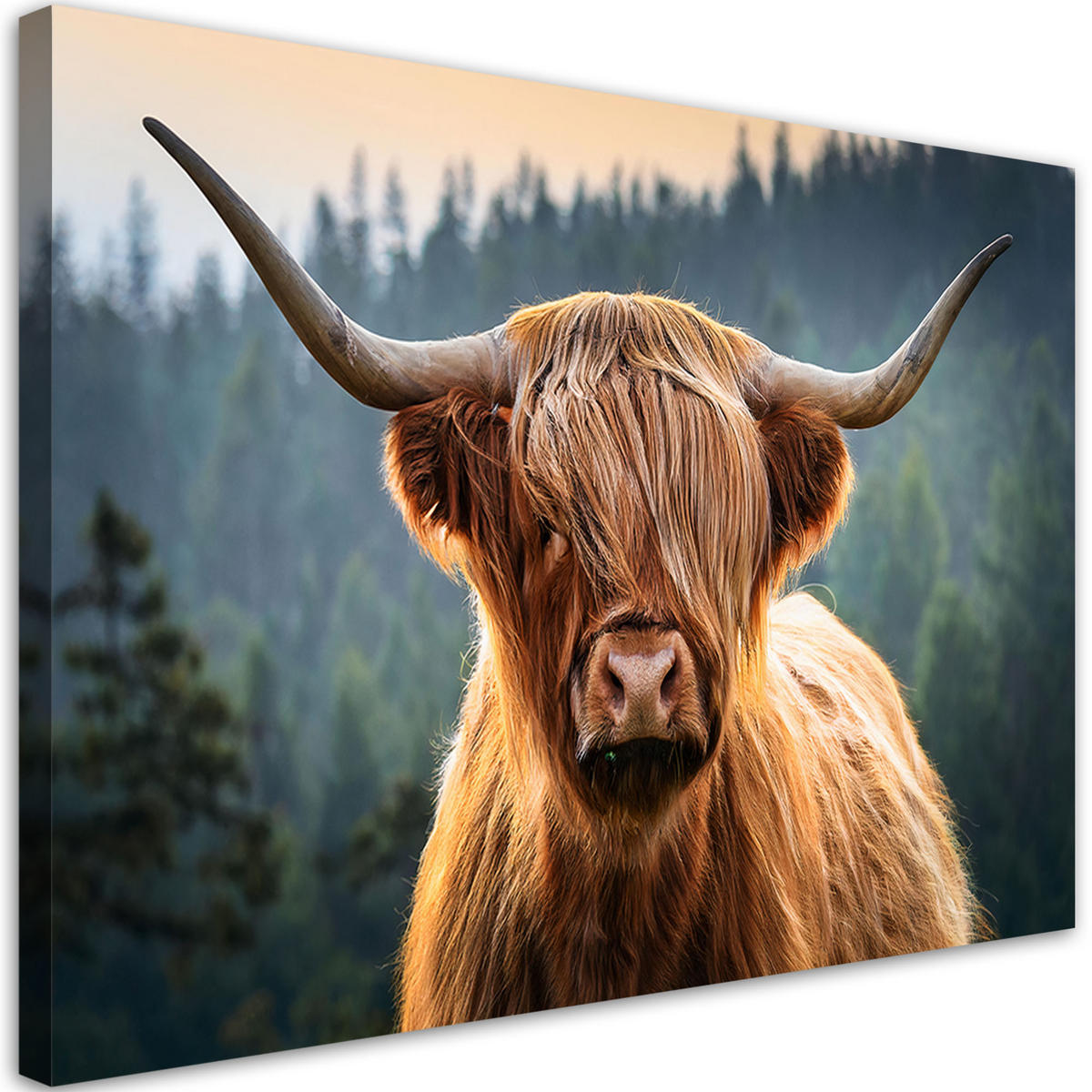 WANDBILD schottische kuhtiere - Braun, Textil (60/40cm) - Feeby