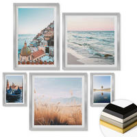 WANDBILDER 5er Set - 50x50 cm & 20x30 cm & 40x60 cm Silberner Rahmen - Vögel im Flug, Himmel, Mond - Silberfarben, Kunststoff (40/60cm) - ArtPrintCave