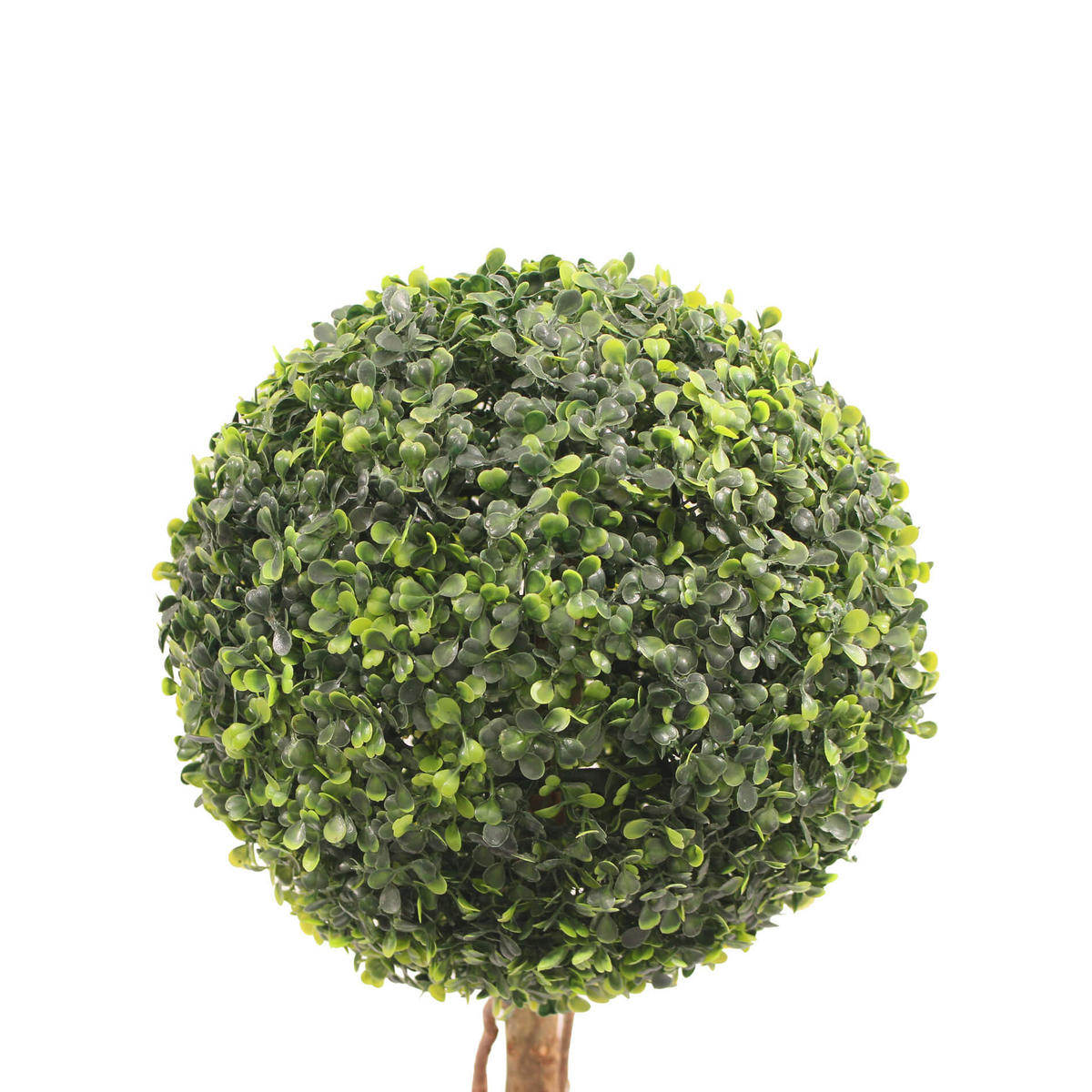 KÜNSTLICHE Buchsbaum 33/33/60 - Grün, Kunststoff (63cm) - Mobili Rebecca