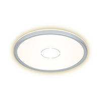 LED DECKENLEUCHTE Silber Opal - Silberfarben, Kunststoff (29.3/29.3/2.9cm) - Briloner