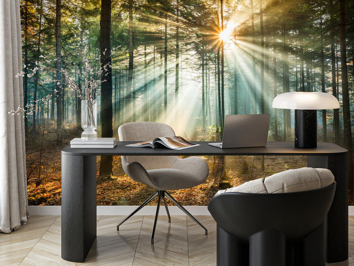 FOTOTAPETE für Wohnzimmer Herbstwald Sonnenuntergang Bäume Natur 500x350 - Beige/Gelb, Papier (500/350cm) - Muralo