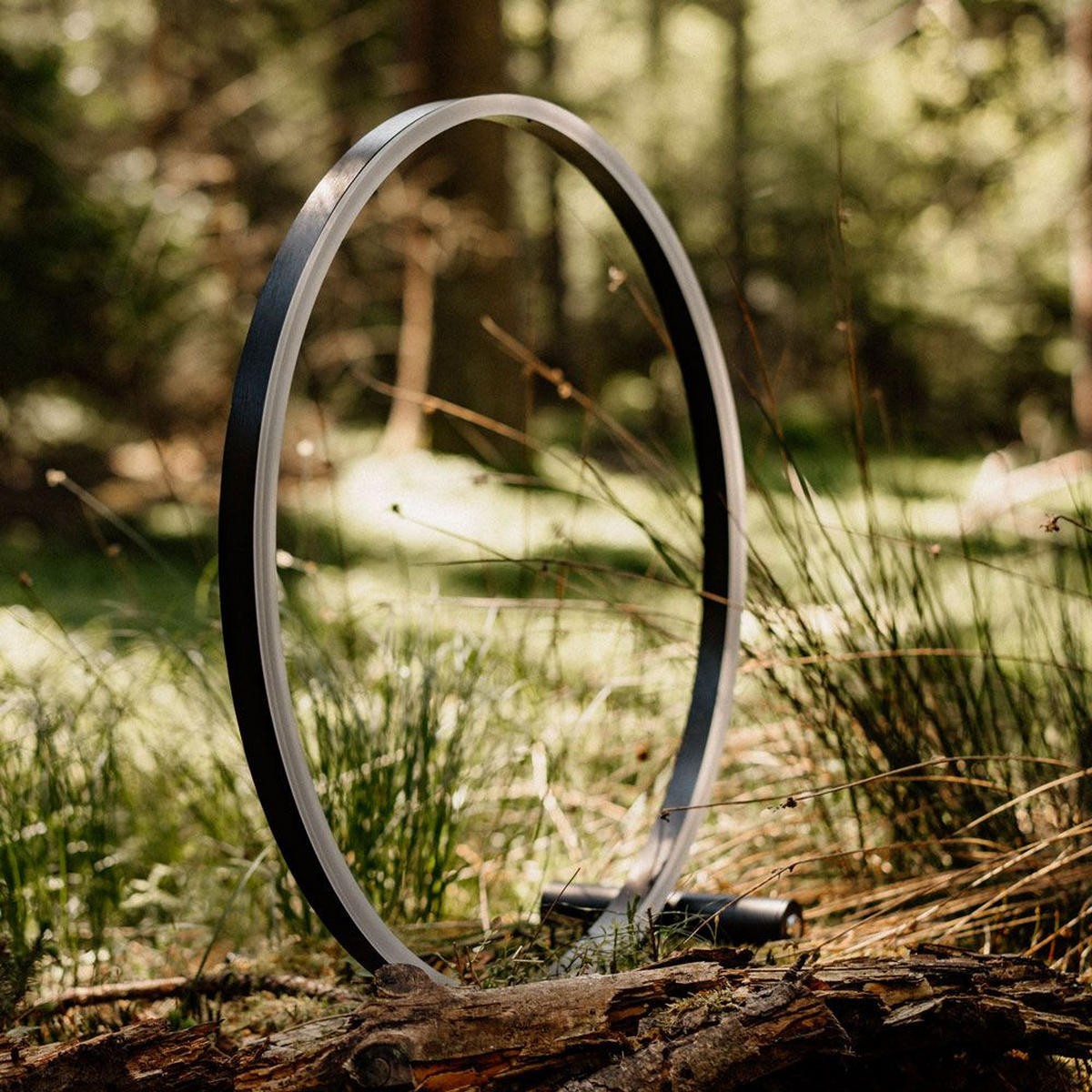 LED-TISCHLAMPE Ring Direkt/Indirekt Schwarz/Gold Ø 60cm - Goldfarben/Schwarz, Metall (3.3/60/60cm) - s.luce
