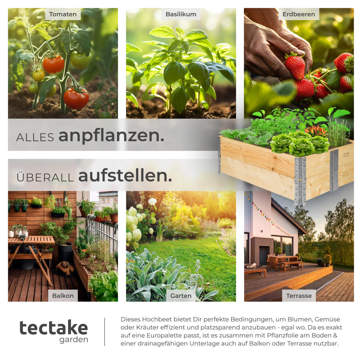 HOCHBEET 2er Set, 120 x 80 x 19 cm, holzdekor - Eiche Artisan, Holz (80/19/120cm) - tectake