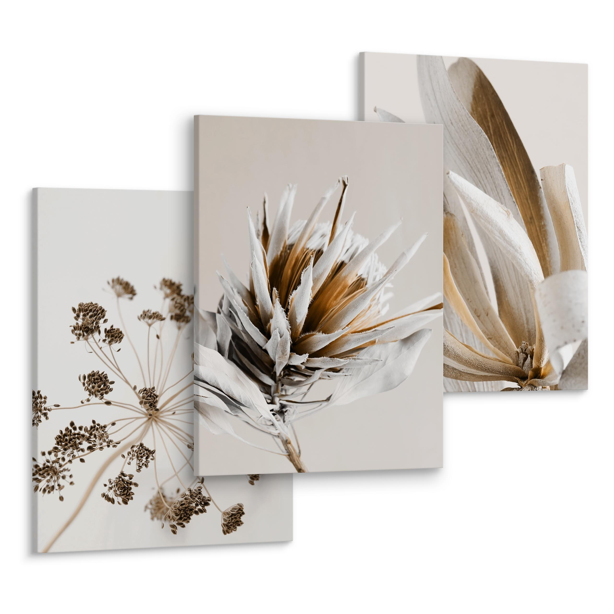 LEINWANDBILDER 3-er Set Blumen Natur 3D - Beige/Schwarz, Textil (90/40cm) - Muralo