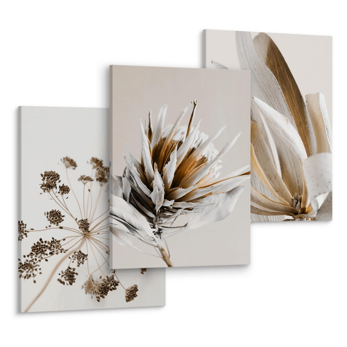 LEINWANDBILDER 3-er Set Blumen Natur 3D - Beige/Schwarz, Textil (90/40cm) - Muralo