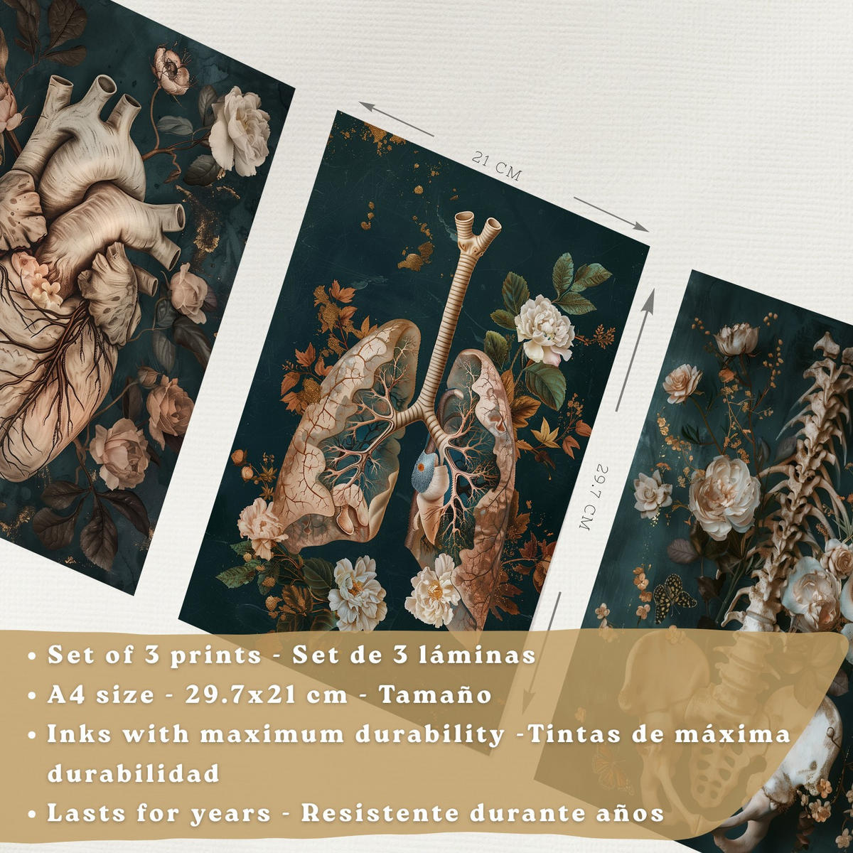 POSTER Set aus 3 Anatomie Mensch Drucke und Wandbilder mit Herz Atmungssystem und Skelett Botanischer Stil Wanddekoration Größe Rahmenlos A4 - Klar, Papier (21/29.7/3cm) - Nacnic