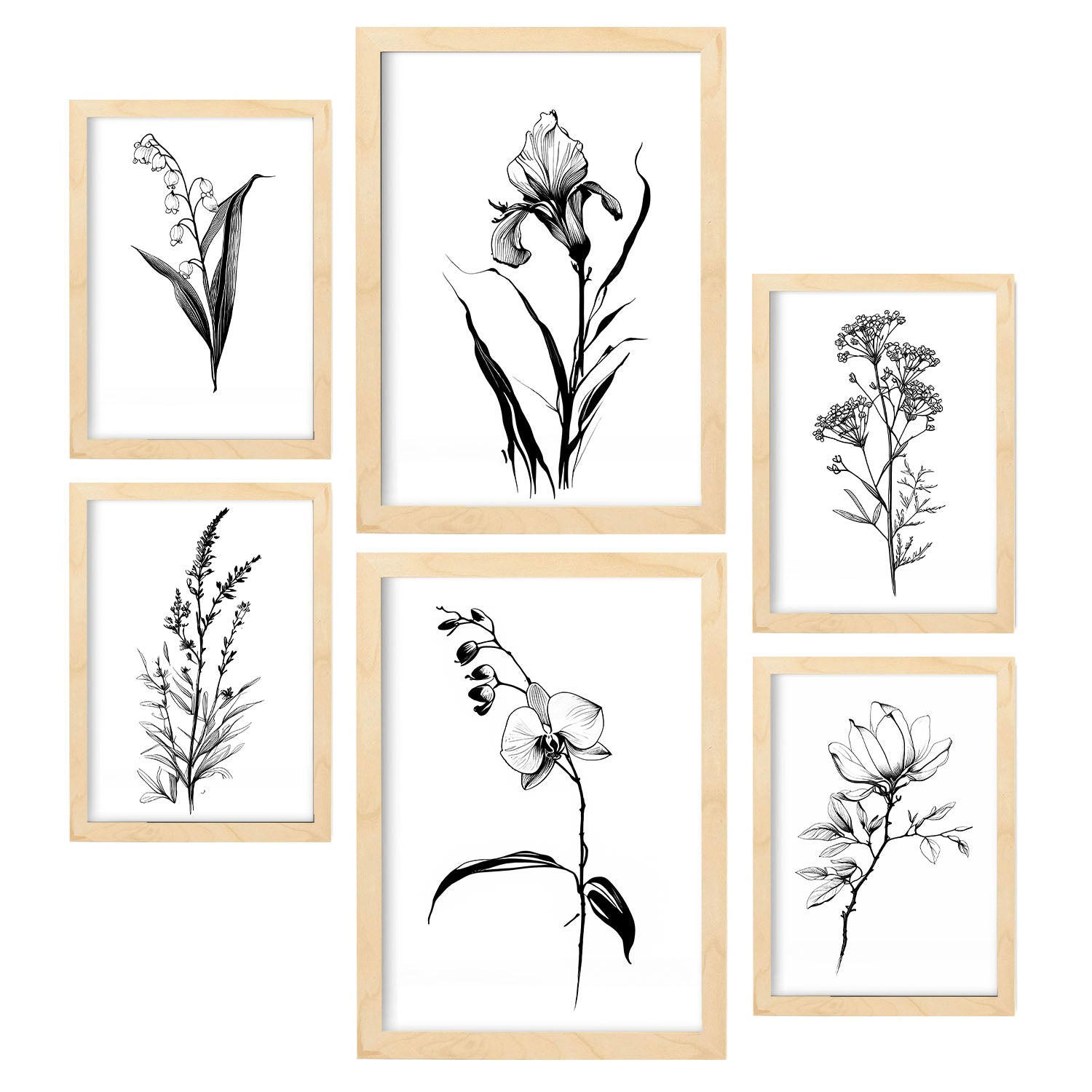 POSTER Set Mit 6 Zarte Blumen Natur Und Botanikdrucke Mit Blumenmotiven In Klassischem Schwarz Und Weiß A3 & A4 Rahmen Aus Hellem Holz - Beige, Papier (29/3cm) - Nacnic
