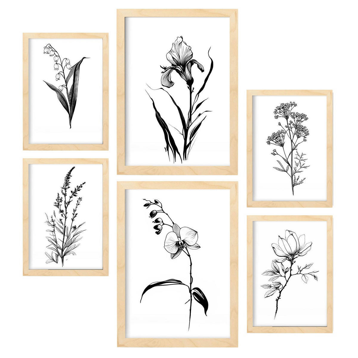 POSTER Set Mit 6 Zarte Blumen Natur Und Botanikdrucke Mit Blumenmotiven In Klassischem Schwarz Und Weiß A3 & A4 Rahmen Aus Hellem Holz - Beige, Papier (29/3cm) - Nacnic
