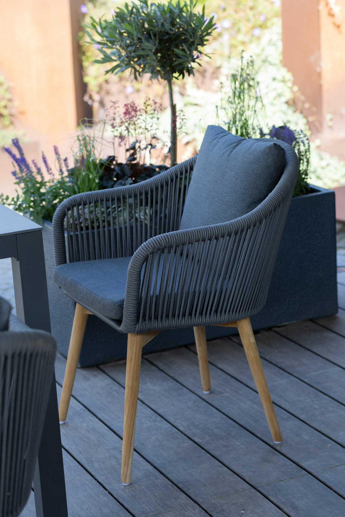 DININGSESSEL Solana Rope dark grey inkl.Kissen uni grey - Grau, Metall (63/79/59cm) - Mr. Deko