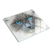 GLASPLATTE 60x52 cm Katze mit blauen Augen - Blau, Glas (60/0.4/52cm) - TULUP