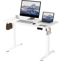 SCHREIBTISCH elektrisch höhenverstellbar 110 x 60 cm Weiß - Weiß, Metall (110/60/122cm)
