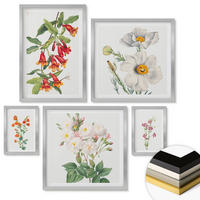 WANDBILDER 5er Set - 50x50 cm & 20x30 cm & 40x60 cm Silberner Rahmen - Blumenmalerei im Retro-Stil - Silberfarben, Kunststoff (40/60cm) - ArtPrintCave