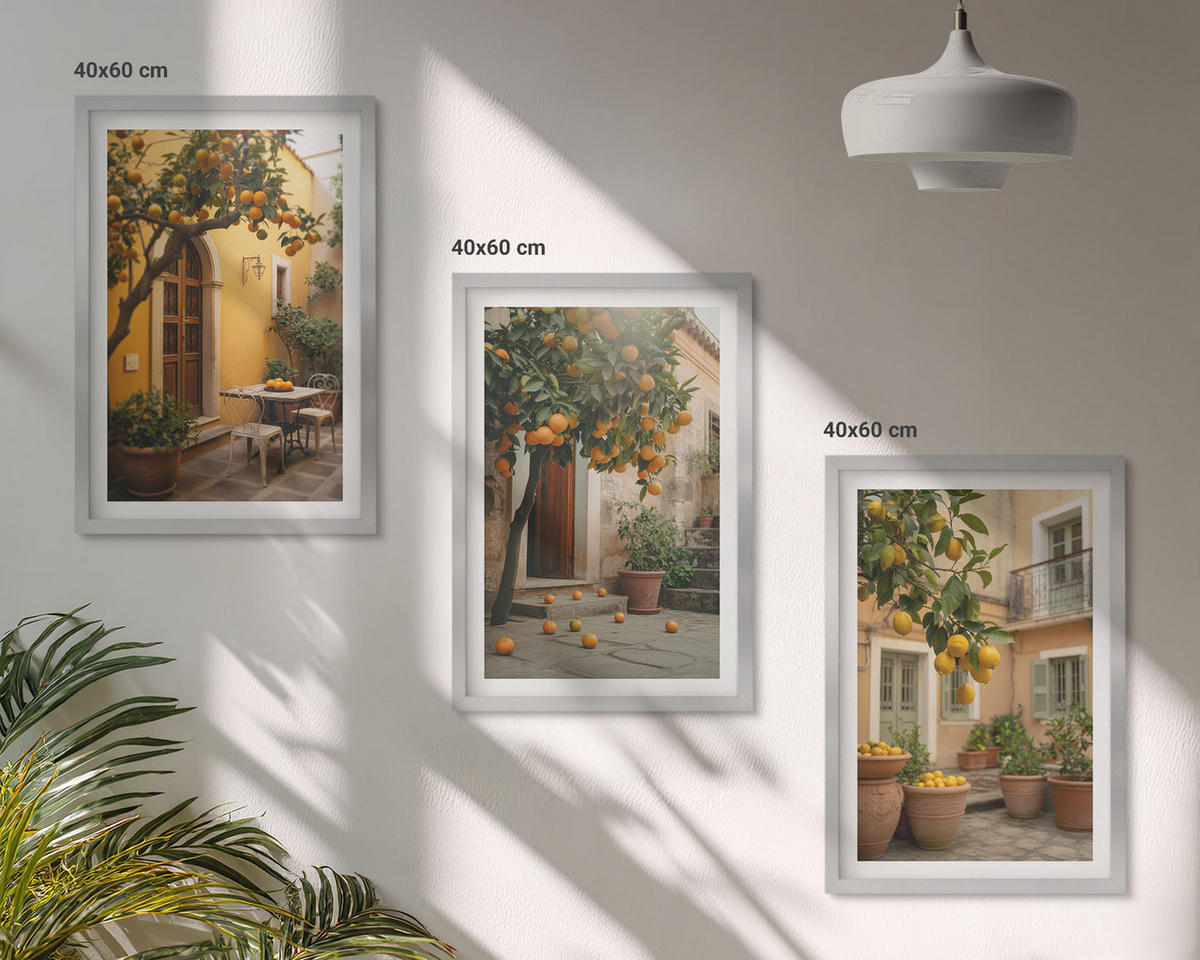BILDER SET 3er Set - 40x60 cm Silberner Rahmen - Garten-Zitrus-Sonne - Silberfarben, Kunststoff (40/60cm) - TULUP