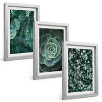 BILDER SET 3er Set - 20x30 cm Silberner Rahmen - Sukkulenten - Silberfarben, Kunststoff (20/30cm) - TULUP