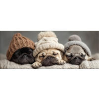 GLASBILD 80x30 cm Hunde Mops Welpen - Beige, Glas (80/30cm) - artissimo