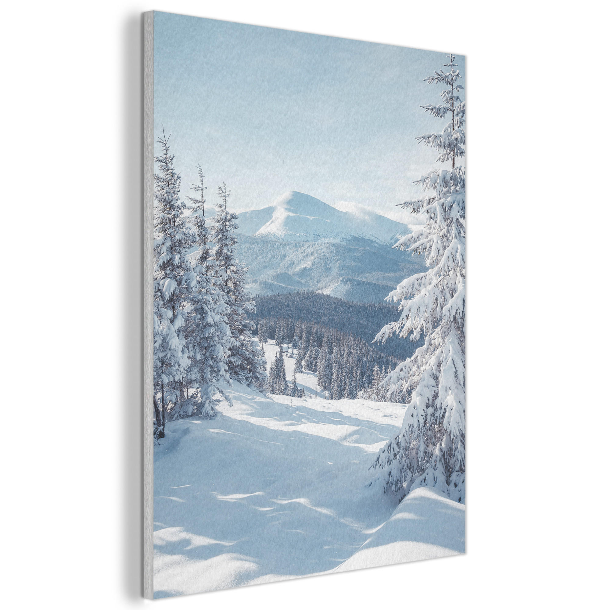 MuchoWow AKUSTICKÝ obraz Zimní krajina - Příroda - Hory - Stromy - Sníh 60x80 cm