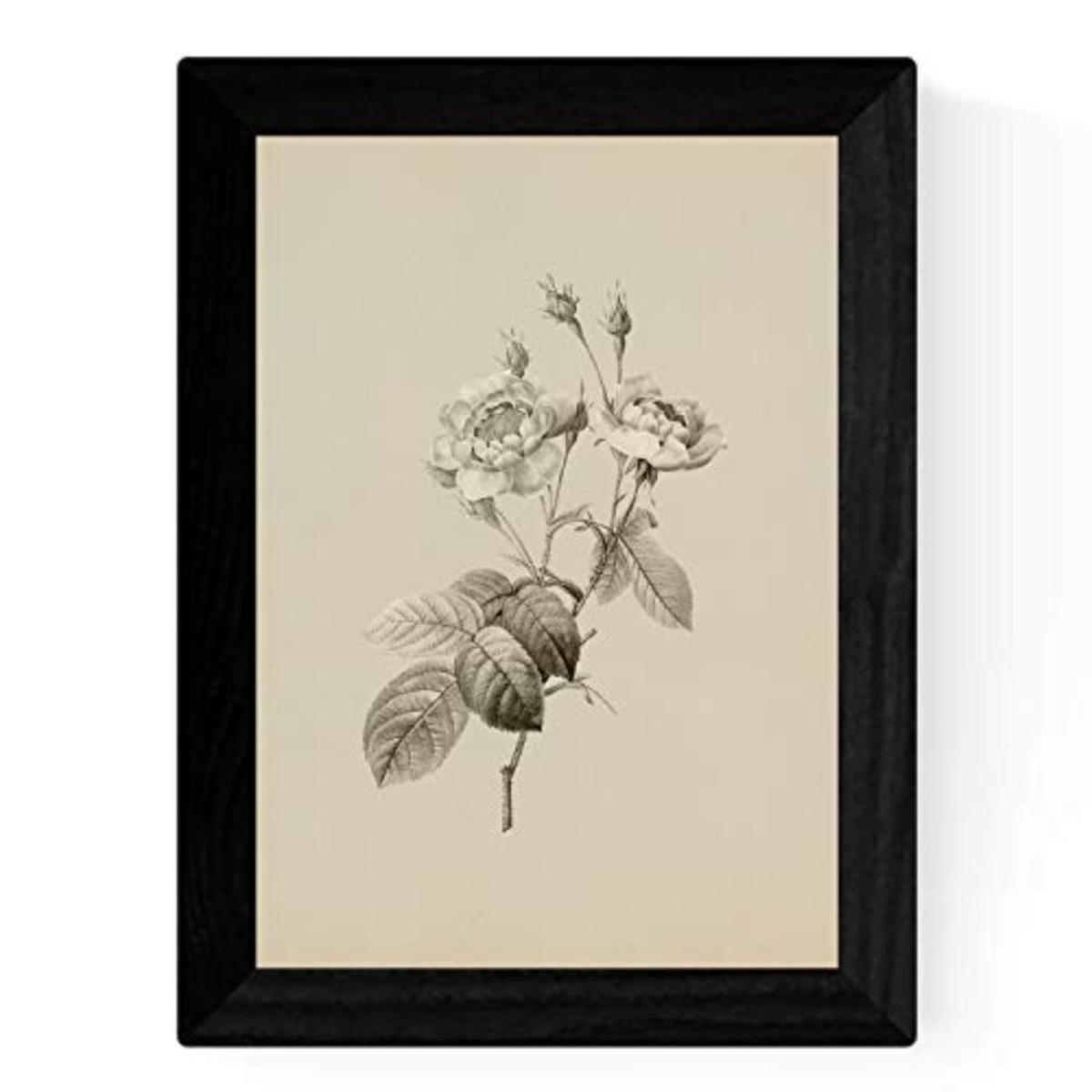 POSTER Set mit 4 Botanischen Stils Rosa weich Jahrgang Hintergrund A3 Rahmenlos - Klar, Papier (29.7/3cm) - Nacnic