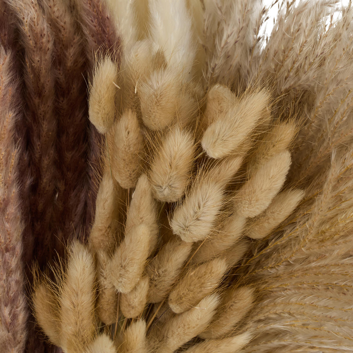 144XPAMPASGRAS - Multicolor, Textil (41cm) - Relaxdays