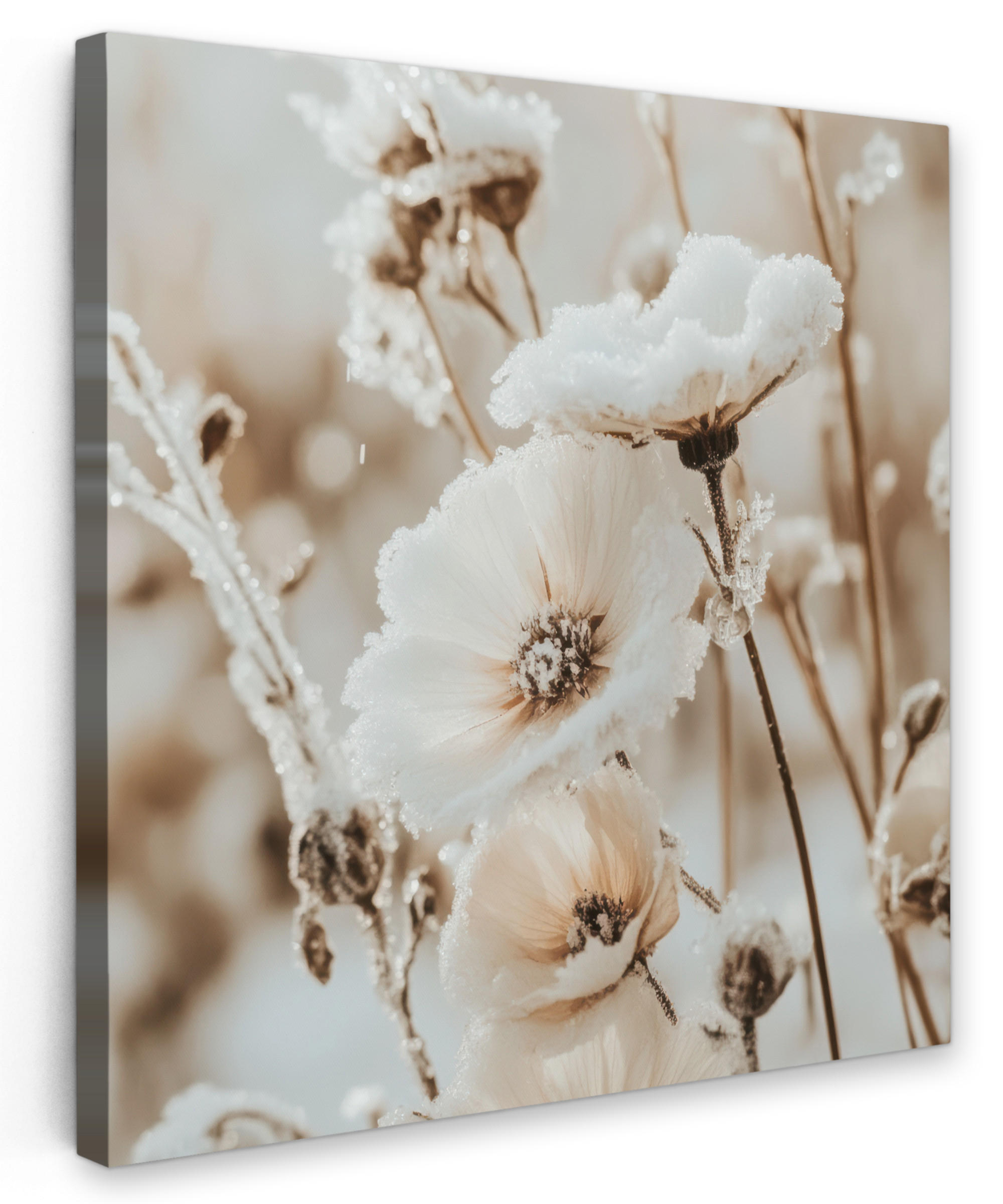 LEINWANDBILD Blumen - Winter - Weiß - Schnee - Beige 90x90 cm - Creme, Textil (90/90cm) - MuchoWow