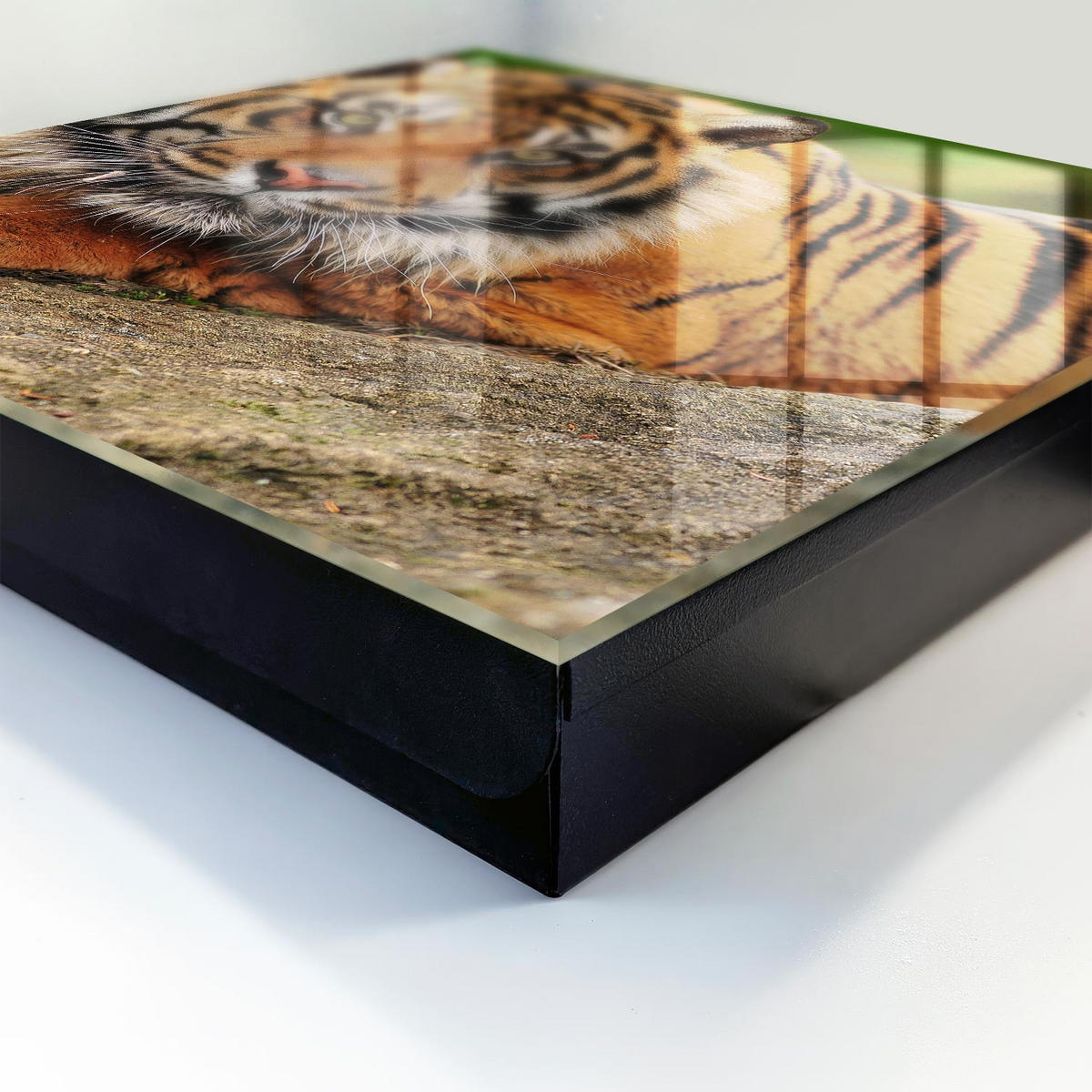 SCHLÜSSELBOX Schwarz 30x30 cm- Türöffnung nach rechts - Tiger ruht - Orange, Metall (30/30/5cm) - TULUP