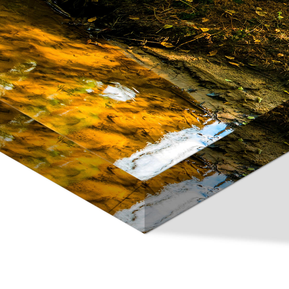 LEINWANDBILD Wald 5-tlg. 150x75 cm - Multicolor, Holz (150/75cm) - LUMASOUL