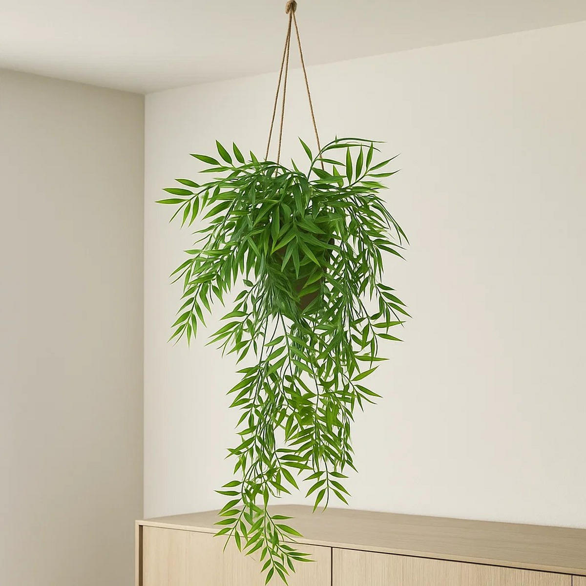 BAMBUS im Topf Liora 10/10/75 cm - Grün, Kunststoff (75cm) - Atmosphera Createur d´interieur