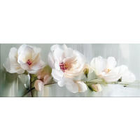 GLASBILD 80x30 cm weiße Blüten - Weiß, Glas (80/30cm) - artissimo