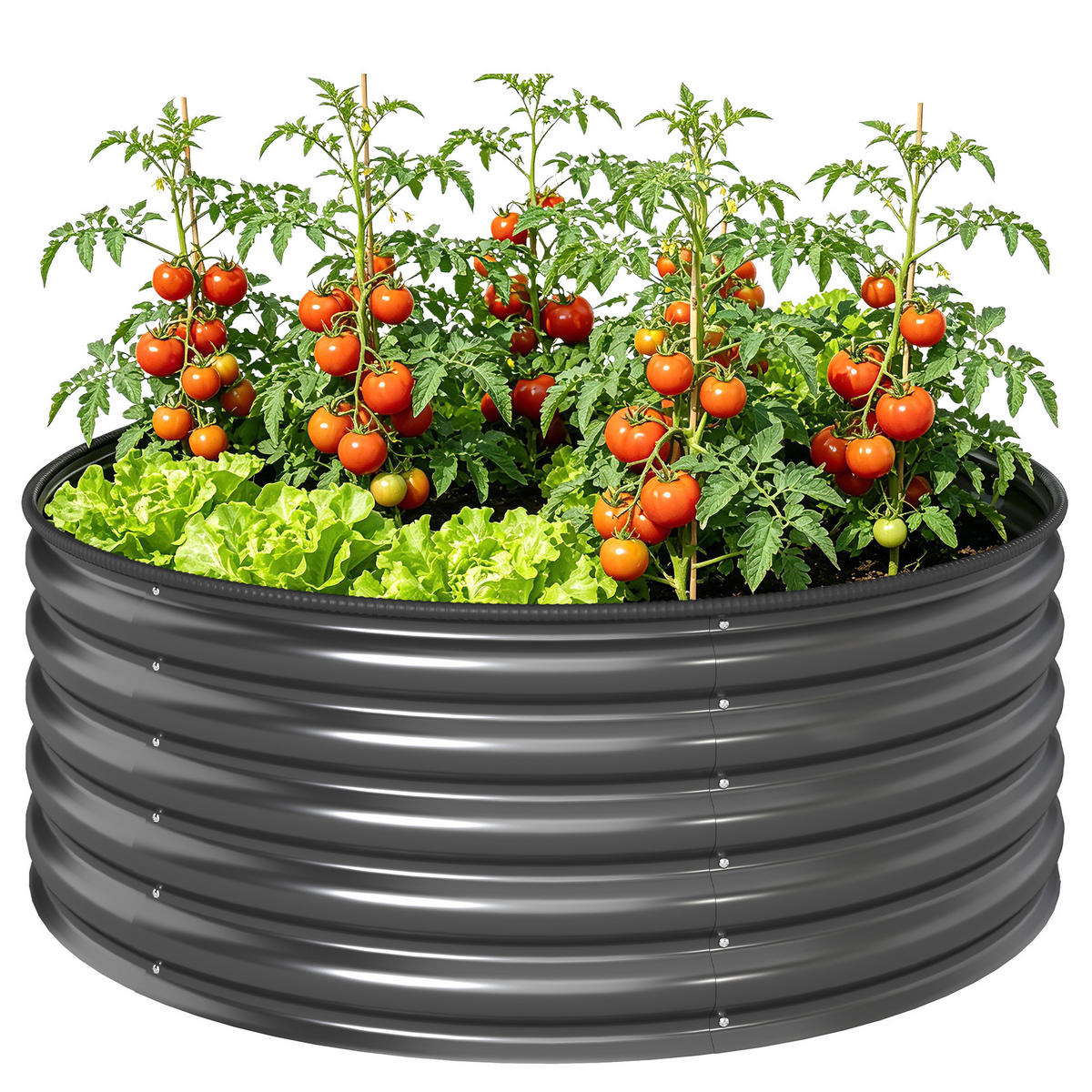 HOCHBEET DE-05468 Quadratisch, dunkelgrau, 43 cm tief Dunkelgrau - Dunkelgrau, Metall (120/43/120cm) - ComfortXL