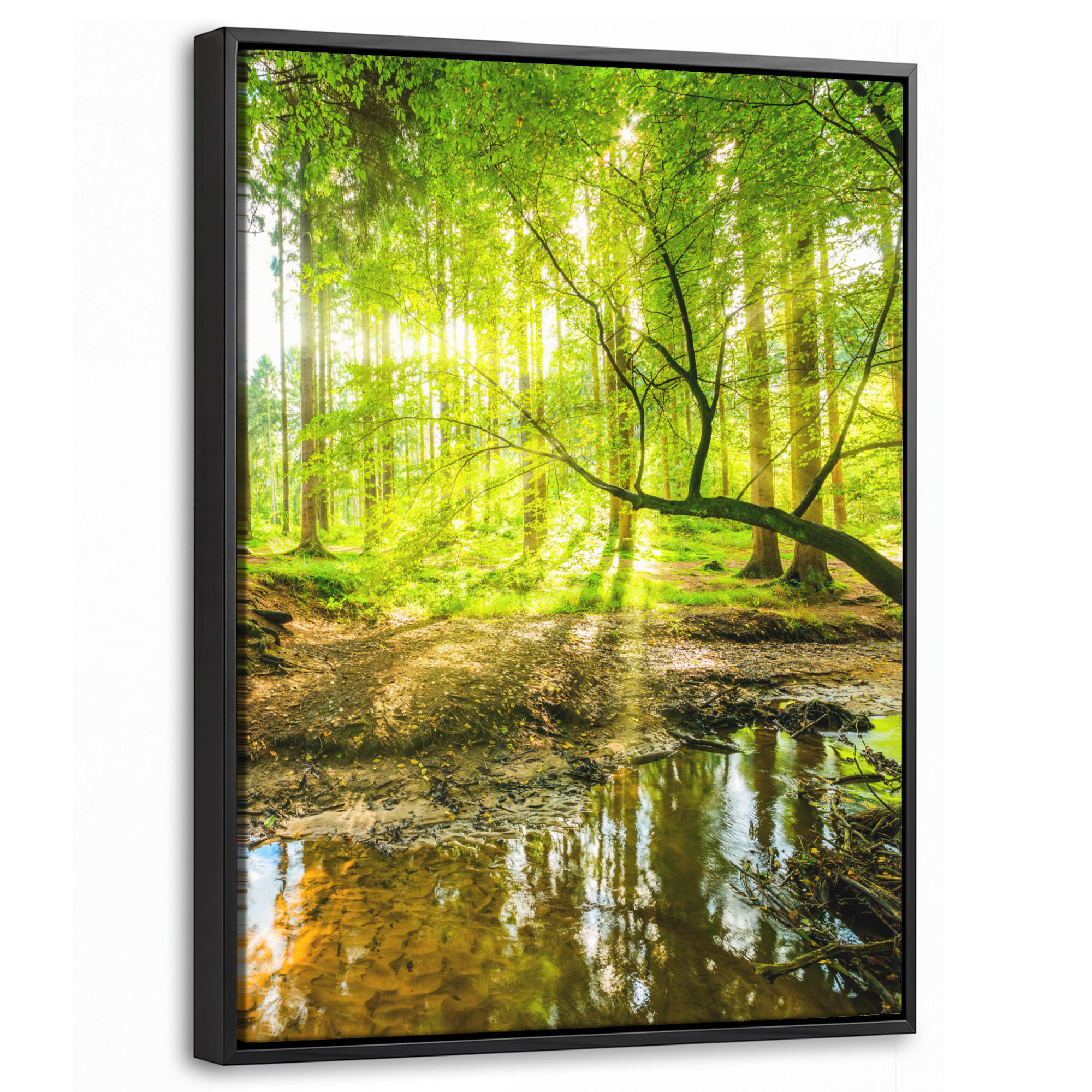 LEINWAND Bilder mit Rahmen - Wald - Landschaft - Wasser - Bäume - Sonne - Grün - Natur - 30x40 - Grün, Textil (30/40cm) - MuchoWow