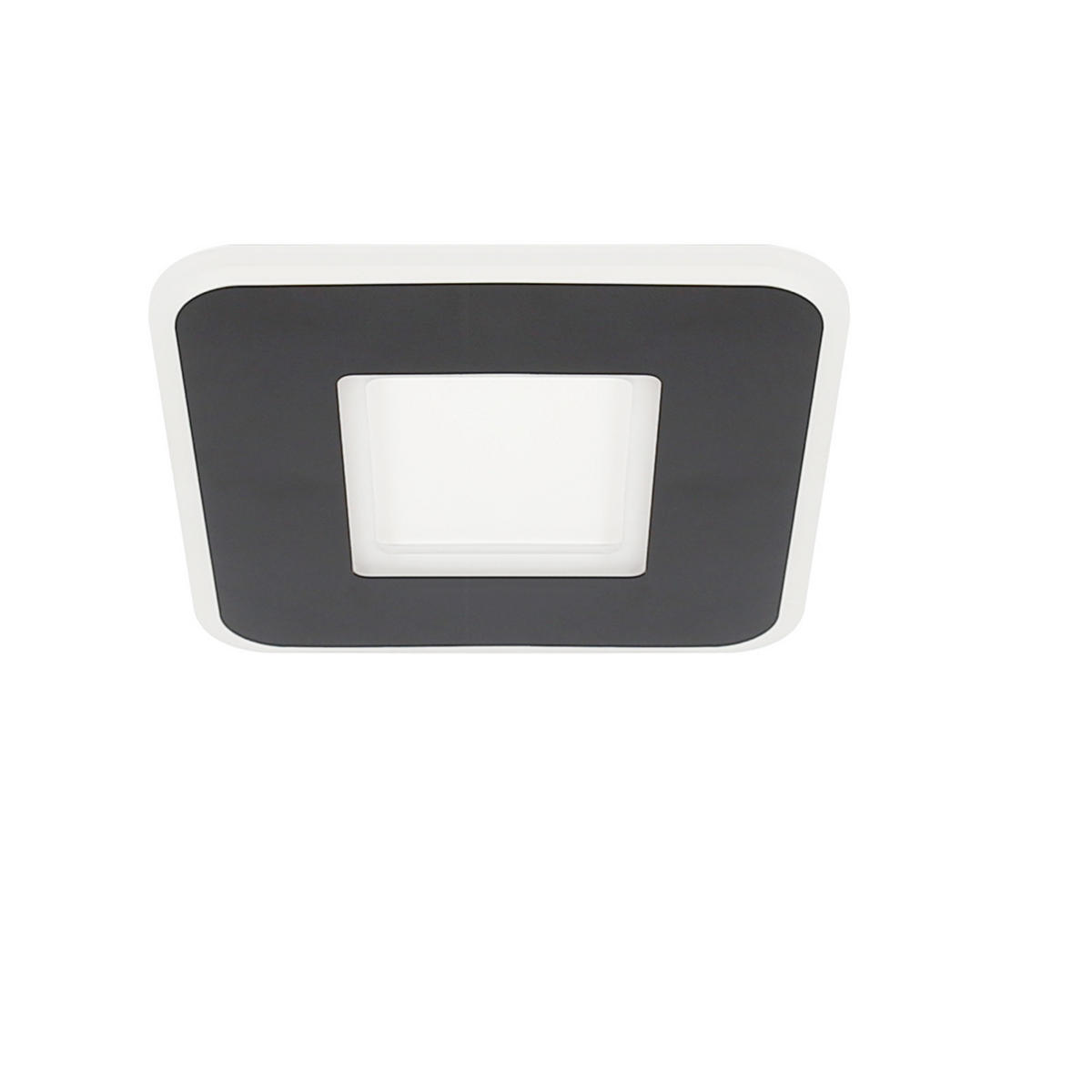 LED-DECKENLEUCHTE Gunther 24 cm - Schwarz, Metall (24/24/4cm) - Nettlife