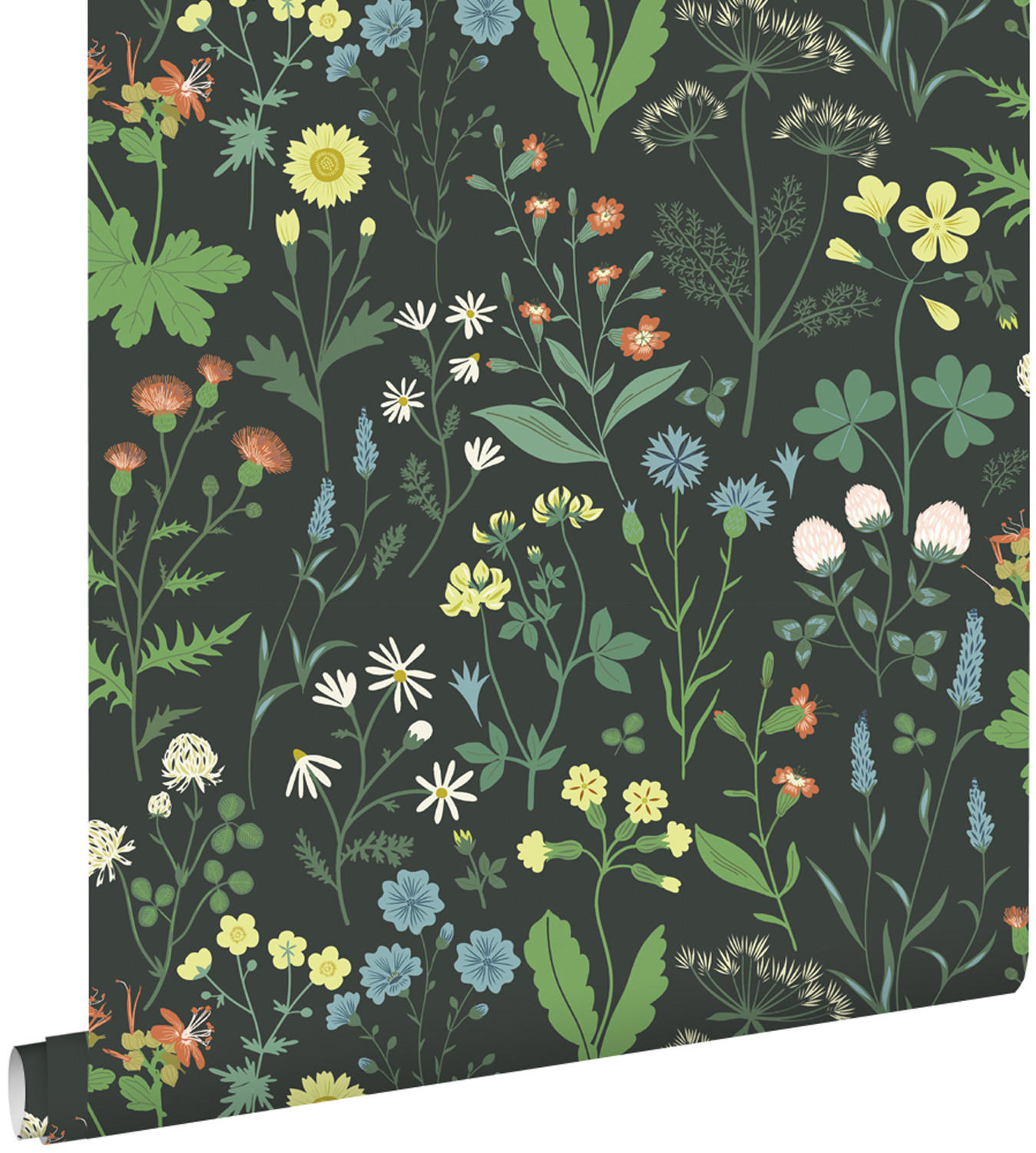 TAPETE Feldblumen 53 cm x 10.05 m - Schwarz, Papier (53/1000cm) - ESTAhome