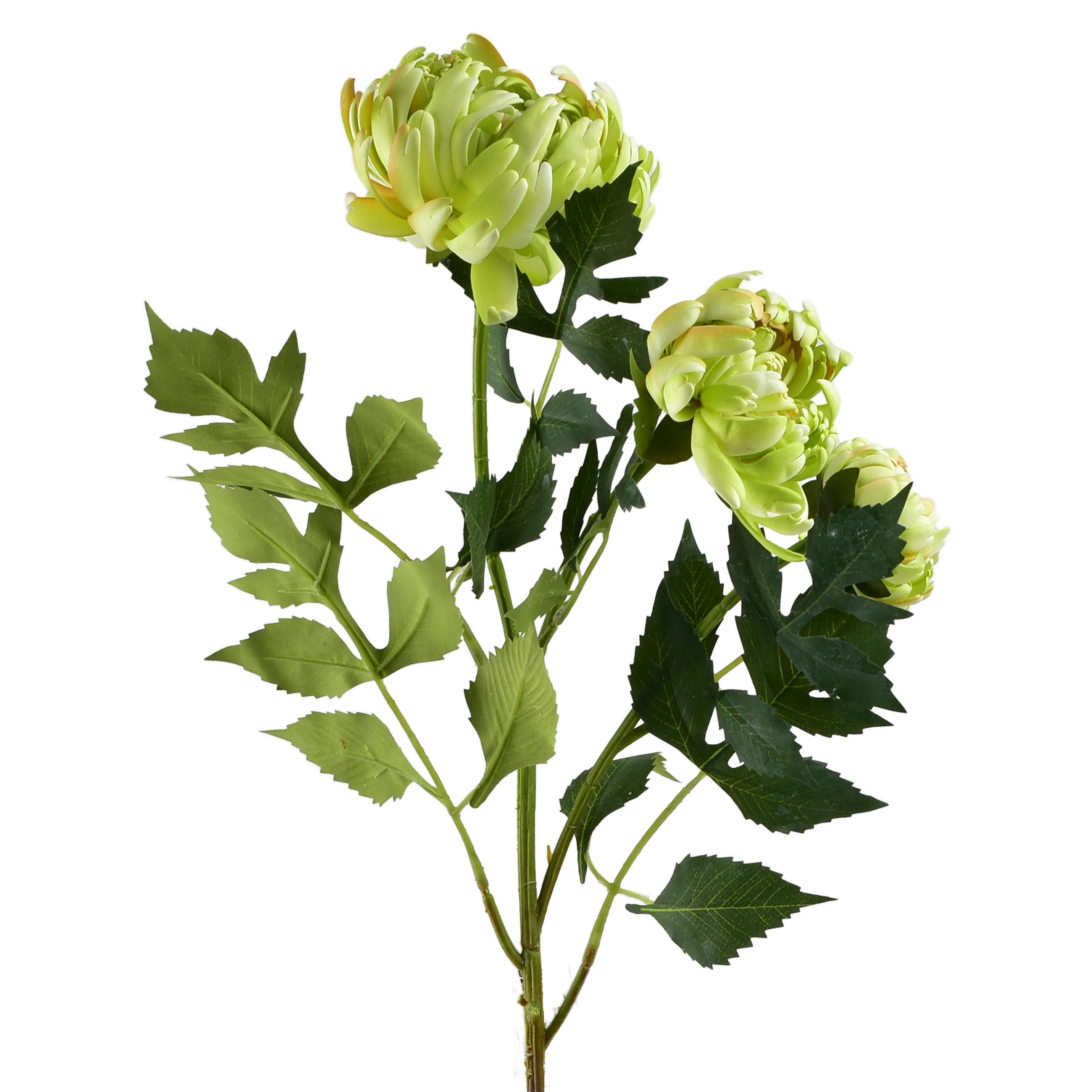 UMELÁ CHRYZANTÉMA Viridis 3 ks 70 cm - biela/zelená, plast (70cm) - Mondex