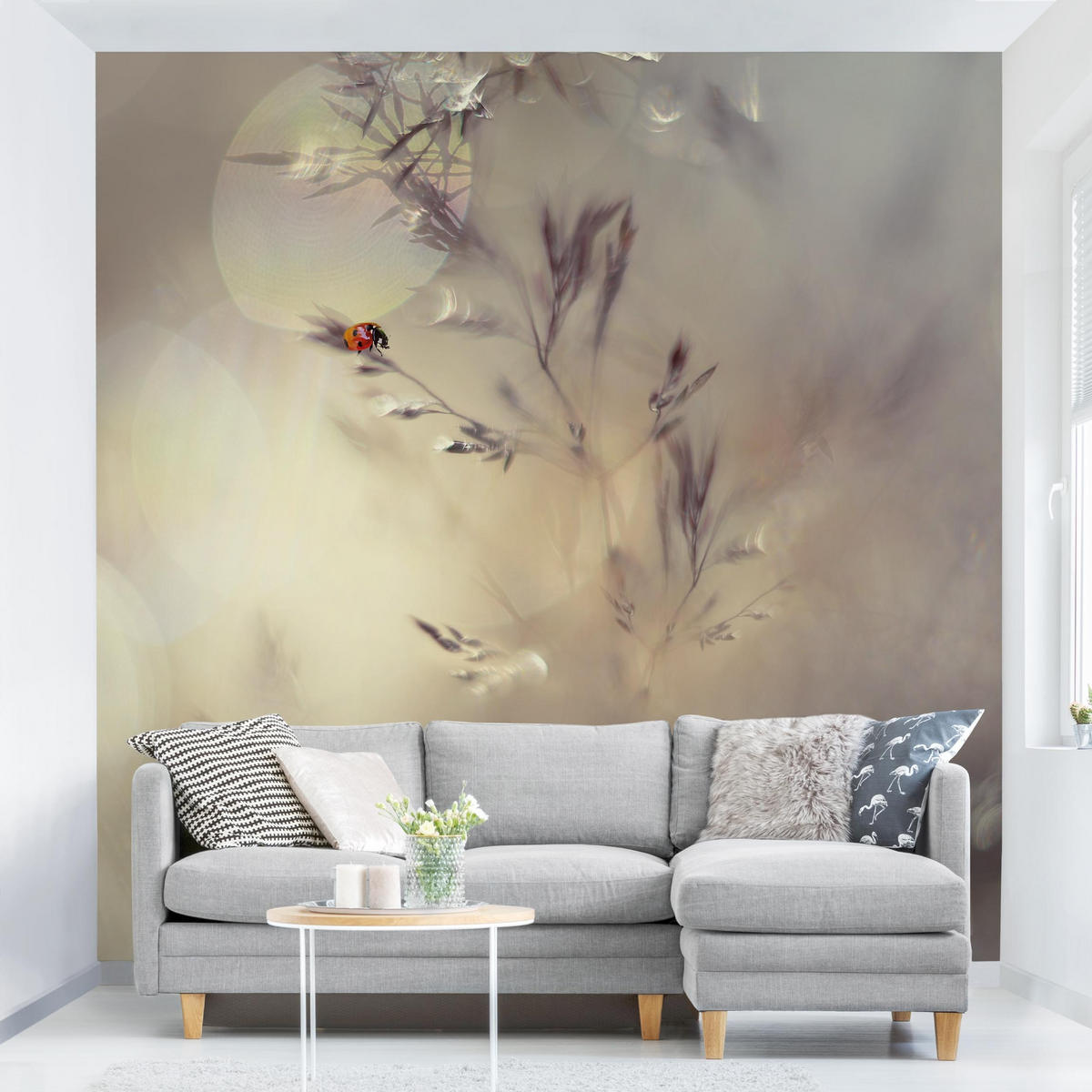 FOTOTAPETE Marienkäfer auf Wiesengras 240/240 cm - Eichefarben, Papier (240/240cm) - Bilderwelten