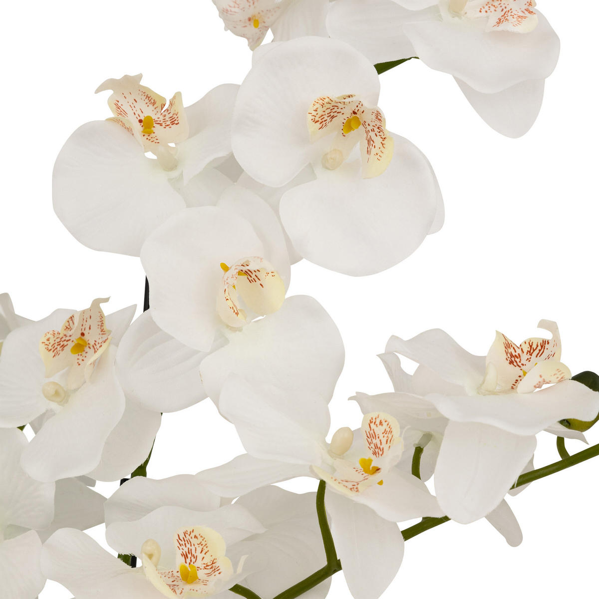 KÜNSTLICHE ORCHIDEE MICK 80 cm - Weiß, Kunststoff (80cm) - Atmosphera Createur d´interieur