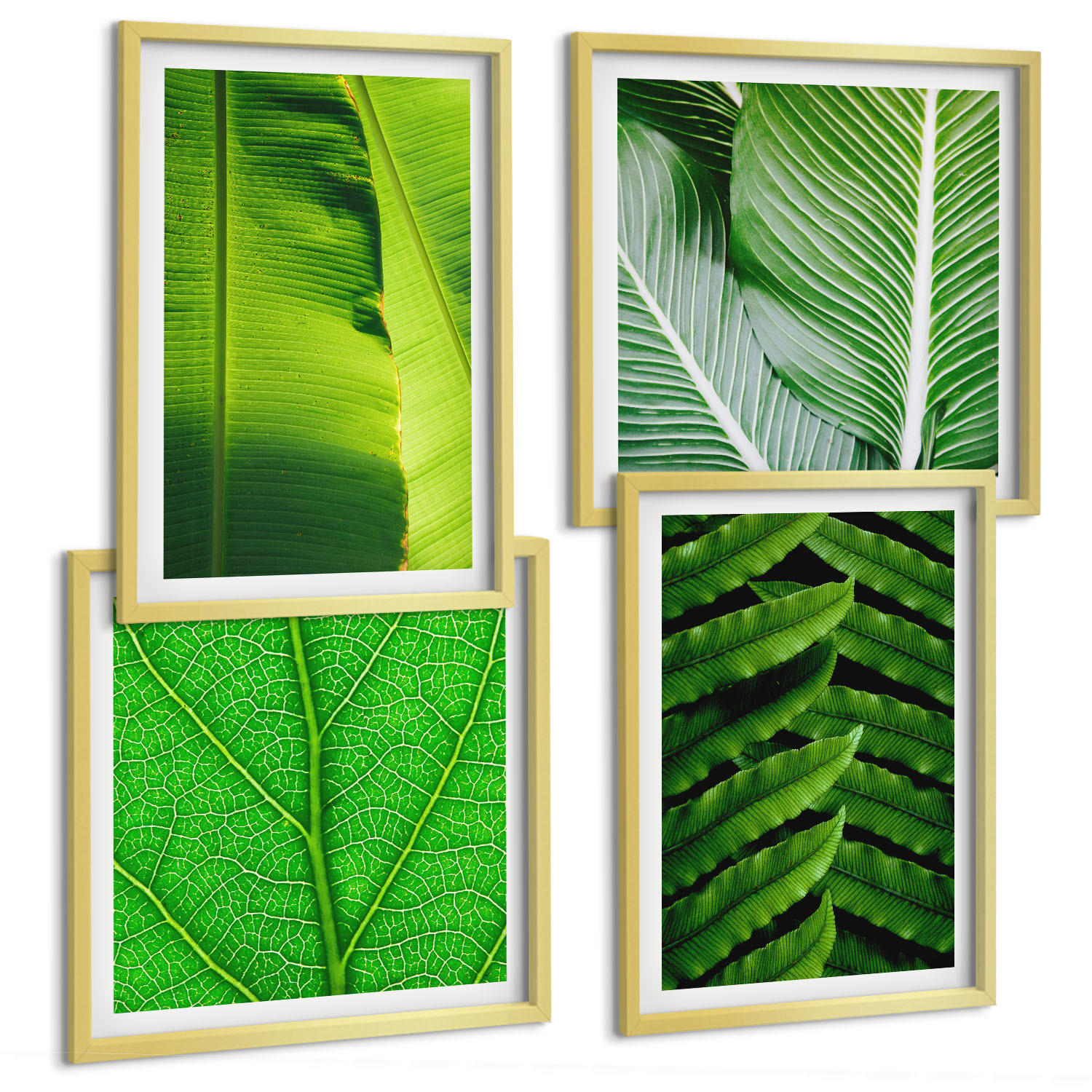 BILDER SET 4er Set - 50x50 cm & 40x60 cm Goldrahmen - Nahaufnahme von tropischen Blättern - Goldfarben, Kunststoff (50/50cm) - TULUP
