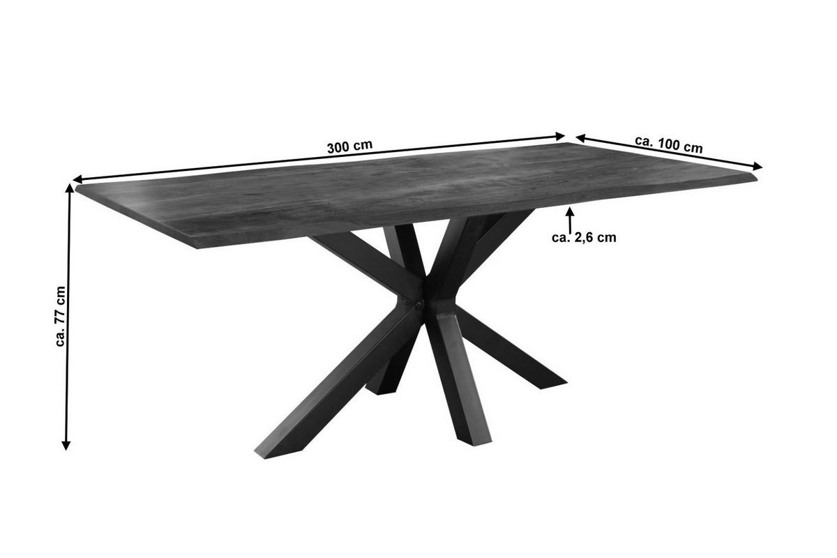 ESSTISCH FELINA - Schwarz/Braun, Holz/Metall (100/300/77cm) - SAM