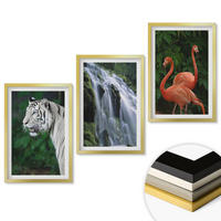 WANDBILDER 3er Set - 40x60 cm Goldrahmen - Tiger Wasserfall Flamingos Natur - Goldfarben, Kunststoff (40/60cm) - ArtPrintCave