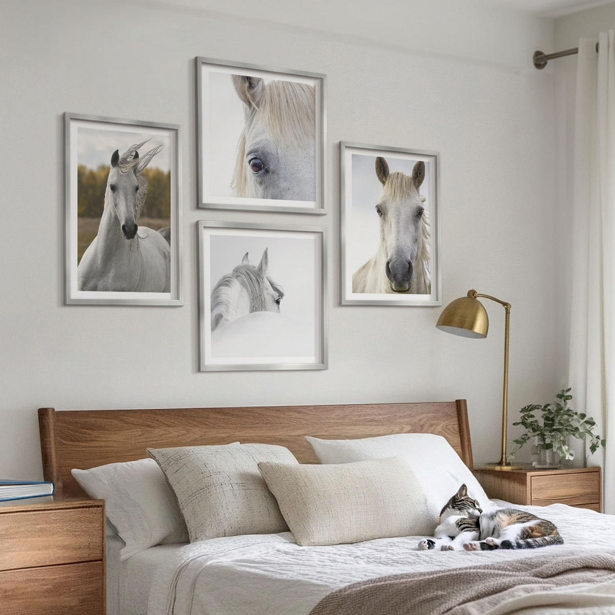 WANDBILDER 4er Set - 50x50 cm & 40x60 cm Silberner Rahmen - Weiße Pferde - Silberfarben, Kunststoff (50/50cm) - ArtPrintCave