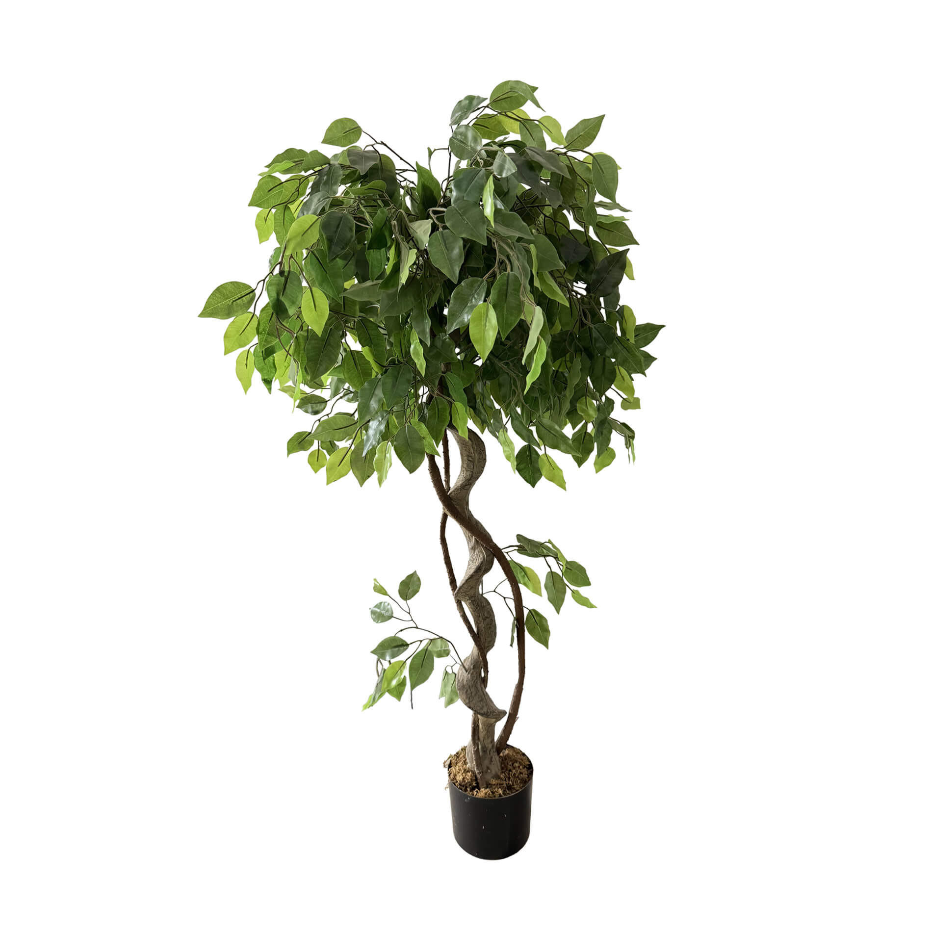 KUNSTPFLANZE Ficus 120 cm - Grün, Kunststoff (120cm)